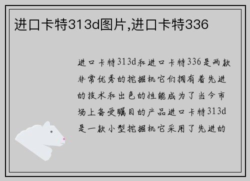 进口卡特313d图片,进口卡特336